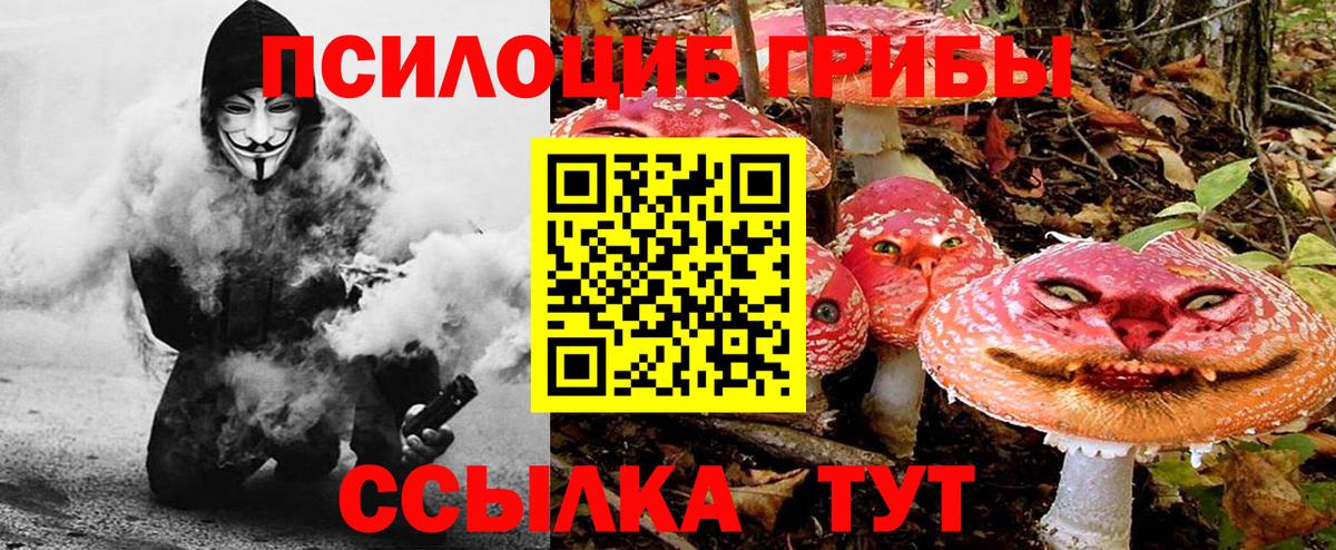 Армавир  Псилоцибиновые грибы Psilocybine cubensis  Вход с VPN 